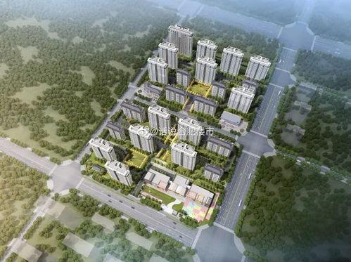 祥生爆料最新消息,揭秘娱乐圈惊人内幕  第1张