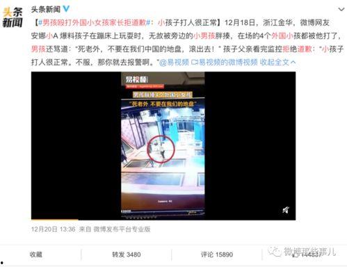 诸城慈海爆料事件视频,真相与争议的交织  第3张