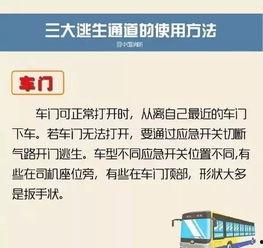 阳江今日爆料最新消息查询,揭秘今日热点事件真相  第3张